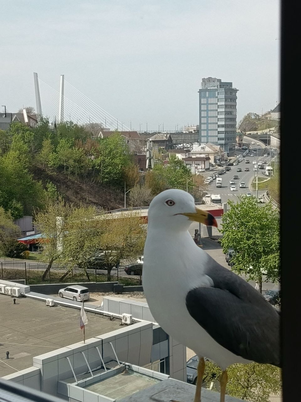 Уютная студия рядом с центром
