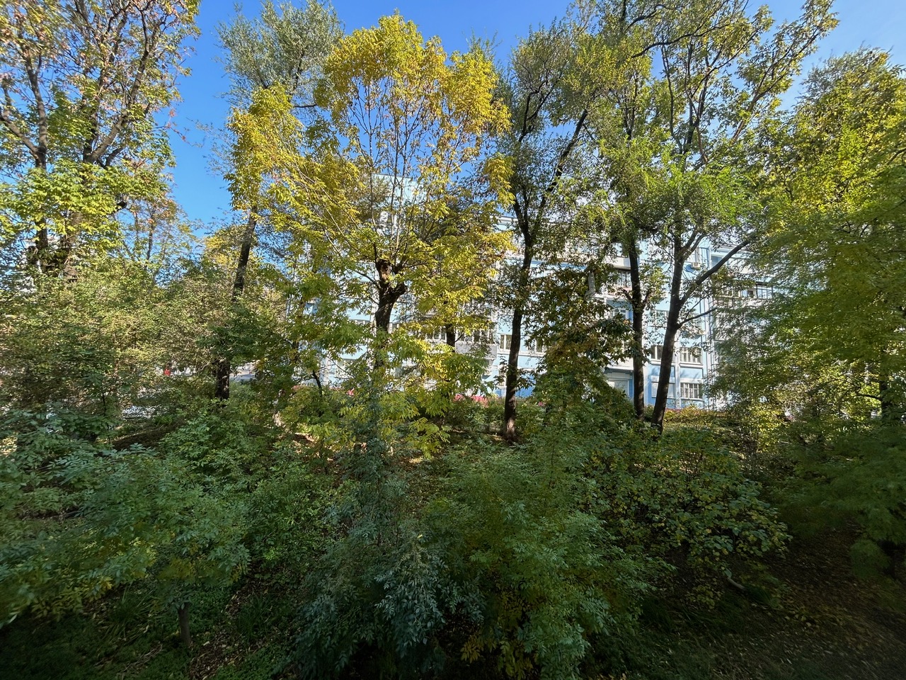 2-х комнатная квартира с высокими потолками в центре Владивостока