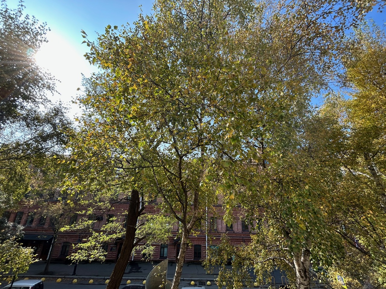 2-х комнатная квартира с высокими потолками в центре Владивостока